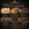 100% American Grown & Made - Wild River Black Garlic - Premium Black Garlic Puree - Bulk Size (4.4 lb / 9 lb) - Naturally Aged Gilroy California Garlic - Professional food service Umami Paste (9 LB) view 2