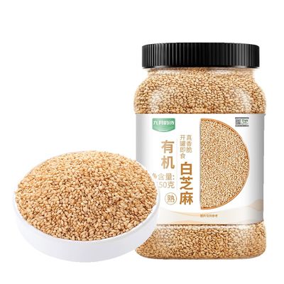 Toasted White Sesame Seeds, Roasted Sesame Seeds for Sushi, Rice, Salads & Baking, Clean Crunchy Ready-to-Use Sesame, 550g Resealable Jar, PoetrySeptember