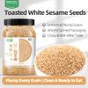 Toasted White Sesame Seeds, Roasted Sesame Seeds for Sushi, Rice, Salads & Baking, Clean Crunchy Ready-to-Use Sesame, 550g Resealable Jar, PoetrySeptember view 2