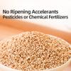 Toasted White Sesame Seeds, Roasted Sesame Seeds for Sushi, Rice, Salads & Baking, Clean Crunchy Ready-to-Use Sesame, 550g Resealable Jar, PoetrySeptember view 3