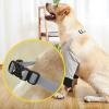 Rengue Adjustable Comfortable Dog Leg Brace Dog Elbow Brace, Soft Breathable Adjustable Support Sleeve for Injury Recovery with Buckle Design, for Arthritis Osteoarthritis and (L) view 3
