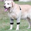 Rengue Adjustable Comfortable Dog Leg Brace Dog Elbow Brace, Soft Breathable Adjustable Support Sleeve for Injury Recovery with Buckle Design, for Arthritis Osteoarthritis and (L) view 4