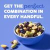 HGUWild"'Roots Chocolatey Blueberry Protein Single Serve Trail Mix, 1.75 oz., 12 pk. view 4