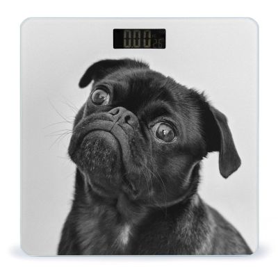 Cute Black Pug Dog Scale for Body Weight Digital Bathroom Scale Precision Smart Weighing Scales with Clear LED Display Accurate High Precision Scales Weighing Machine