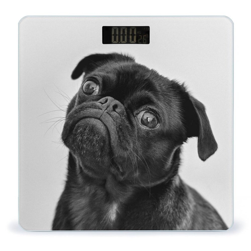 Cute Black Pug Dog Scale for Body Weight Digital Bathroom Scale Precision Smart Weighing Scales with Clear LED Display Accurate High Precision Scales Weighing Machine