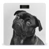 Cute Black Pug Dog Scale for Body Weight Digital Bathroom Scale Precision Smart Weighing Scales with Clear LED Display Accurate High Precision Scales Weighing Machine view 1