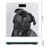 Cute Black Pug Dog Scale for Body Weight Digital Bathroom Scale Precision Smart Weighing Scales with Clear LED Display Accurate High Precision Scales Weighing Machine view 2