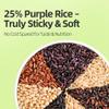 Brown Rice with Multigrain Rice, 7 Grain Rice Blend for Rice Cooker & Congee, 25% Purple Rice Mixed Grains, Re-Sealable Jar, 1000g PoetrySeptember view 3