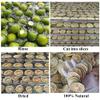 Dried Lime Slices All Natural Dehydrated Dry Lime No Additives No Sugar Added Culinary & Garnish Dried Lime for Tea Cocktails Baking Juice Infused Water and Decoration (10oz, Lime) view 2