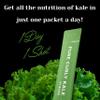 Pure Curly Kale Powder Stick Packs Freeze-Dried Kale, 100% Kale Powder, No Artificial Colors or Flavors, Individually Packed, Easy to Mix with Water, Smoothies, Salad or Yogurt view 3