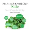 Pure Curly Kale Powder Stick Packs Freeze-Dried Kale, 100% Kale Powder, No Artificial Colors or Flavors, Individually Packed, Easy to Mix with Water, Smoothies, Salad or Yogurt view 4