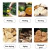 Shredded Tangerine Peel (Chen Pi), 17.6oz (500g) - Premium Sun-Dried Citrus Peel Strips for Cooking, Tea & Baking, Ready-to-Use, Intensely Fragrant, Sweet & Bitter Flavor, Resealable Bag view 3