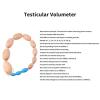 Orchidometer Endocrine Rosary | Wooden Endocrine Measurement Aid,Smooth Orchidometer | for Pediatrician Hospital Clinic Home Education Laboratory Endocrinologist view 4