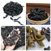 Dried kelp100g/3.52oz,Seaweed Dry,Dried vegetables,Dry Kelp perfect for miso soup, ramen, salads, stews, and sushi rolls. view 2