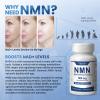 2 Bottles NMN 500mg Supplement Easily Absorbed Nicotinamide Mononucleotide form,a Precursor and NR Supplement Alternative that Supports Healthy Aging and Energy Metabolism | Non-GMO,120 vegan Capsules view 3