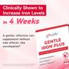 Gentle Iron Supplement Women Slow Release 27mg Melt-in-Mouth Iron Powder view 4