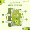ORGAHENNA 100% Pure & Natural Amla Powder, Herbal Hair Care Powder for Strong, Shiny Hair - 100g (3.5 oz) view 2