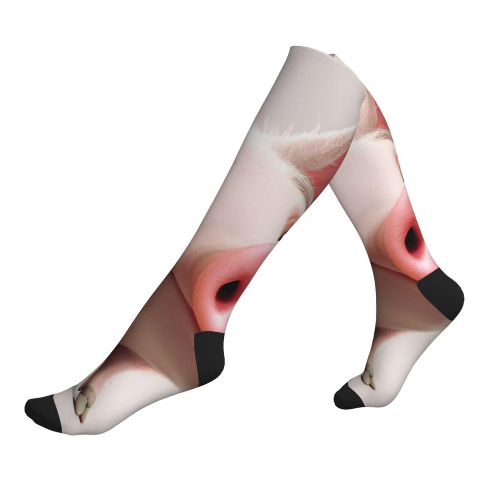 HDSKFNS Cartoon Pig Print Compression Socks For Women & Men Calf Socks,15-20 Mmhg,For Travel Nursing Sports Flying