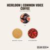 Heirloom Common Voice Coffee - Roasted by 8th & Roast Coffee Co. - Whole Bean Coffee - 2 Pound Bag view 3