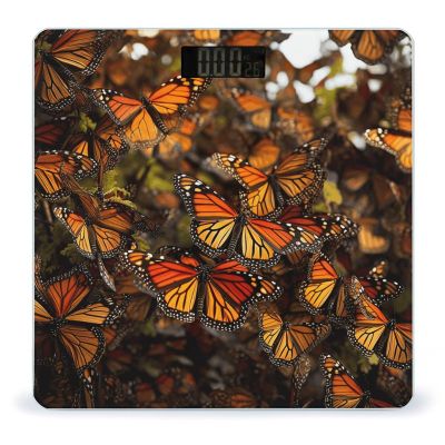 Monarch Butterflies Scale for Body Weight Highly Accurate Digital Bathroom Scale Sturdy Tempered Glass Weighing Scales with LCD Display Fashion Body Fat Smart Scales 400lb