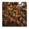 Monarch Butterflies Scale for Body Weight Highly Accurate Digital Bathroom Scale Sturdy Tempered Glass Weighing Scales with LCD Display Fashion Body Fat Smart Scales 400lb view 1