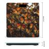 Monarch Butterflies Scale for Body Weight Highly Accurate Digital Bathroom Scale Sturdy Tempered Glass Weighing Scales with LCD Display Fashion Body Fat Smart Scales 400lb view 2