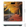 Fall Colors Scale for Body Weight Highly Accurate Digital Bathroom Scale Sturdy Tempered Glass Weighing Scales with LCD Display Fashion Body Fat Smart Scales 400lb view 2