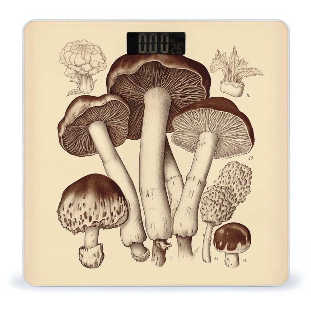 Vintage Mushrooms Drawing2 Scale for Body Weight Highly Accurate Digital Bathroom Scale Sturdy Tempered Glass Weighing Scales with LCD Display Fashion Body Fat Smart Scales 400lb