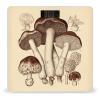 Vintage Mushrooms Drawing2 Scale for Body Weight Highly Accurate Digital Bathroom Scale Sturdy Tempered Glass Weighing Scales with LCD Display Fashion Body Fat Smart Scales 400lb view 1