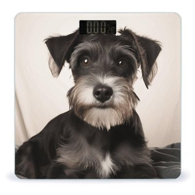 Cute Schnauzer Scale for Body Weight Highly Accurate Digital Bathroom Scale Sturdy Tempered Glass Weighing Scales with LCD Display Fashion Body Fat Smart Scales 400lb