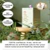 Korean Food Premium Flower Tea Gift Set Sinsaimdang Edition - 10 Organic Caffeine-Free Drip Tea Bags (Marigold, Sunrise Blend, Sea Garden Blend) view 2