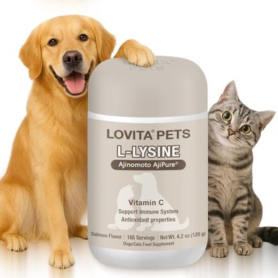 LOVITA Pets L-Lysine Powder for Cats & Dogs, Immune Support Pet Supplement with AjiPure L-Lysine and Vitamin C, Salmon Flavor for Daily Use, Includes Scoop