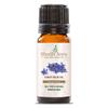 100% Pure Blue Tansy Essential Oil for Aromatherapy, Gifts, Diffusers, Home Care & DIY - 15 ML view 1