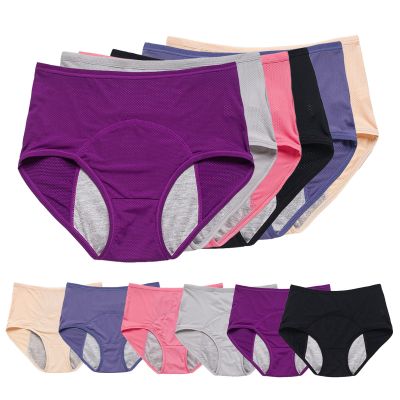 6pcs Women's Incontinence Underwear Washable, Incontinence Panties for Women Over 60 Plus Size