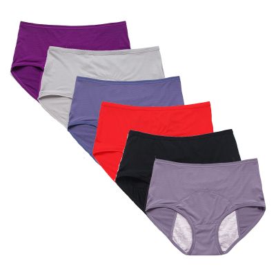 Incontinence underwear for Women, Teen mesh panties, High Waist Comfort Plus Size Underwear 6 Packs