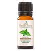 100% Pure Catnip Essential Oil for Aromatherapy, Gifts, Diffusers, Home Care & DIY - 15 ML view 1