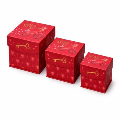 3 Pack Bundle Valentines Day Gift Boxes Flip Top Lids Pink Red Forever Heart Decorative Paper Boxes Assorted Sizes Gifts Crafts Storage Table Ready
