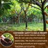 Lavendium 12oz Cacao Powder, 100% Natural & Pure, Unsweetened, Rich Chocolate Flavor, Perfect for Baking & Smoothies No Additives, No Gluten, Vegan view 3