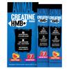 Animal Creatine HMB Powder 3g myHMB + 5g Creatine with Electrolytes for Recovery & Daily Energy Power Punch (3) and Dragon Berry (2) Stick Pack Samples, 5 Servings view 1