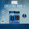 Animal Creatine HMB Powder 3g myHMB + 5g Creatine with Electrolytes for Recovery & Daily Energy Power Punch (3) and Dragon Berry (2) Stick Pack Samples, 5 Servings view 2