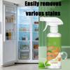 Electrolyzed Ion Kitchen Cleaner, easy off oven cleaner heavy duty, 300ml, Kitchen Appliance Cleaner, Convenient Handheld Cleaner for Home Family (3 pcs) view 4