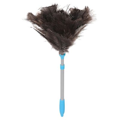 CATIEBYE Extendable Soft Plumage Duster with Blue Handle, Reusable Brush for Ceiling Fan Dusting, High Ceiling Cleaning, Blinds, and Furniture Maintenance