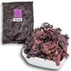 18 lbs Hibiscus Flowers Despensa Colombiana - Flor de Jamaica Bag, Dried Hibiscus Flowers - Ideal for Juices, infusions and Flor de Jamaica teas- Despensa Colombiana view 1