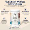 Gut Health & Brain Support Daily Powder Chocolate - 30 Servings view 4