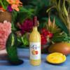 Haitian Mango Cremas Premium Quality, Fruit Drink Concentrate, 750 ml Glass Bottle view 3