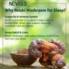 Reishi Mushroom Sleep Gummies - Melatonin Free Sleep Gummies for Adult view 4