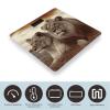 African Lion and Lioness Bathroom Scale Weight Scale for Body Weight,Highly Accurate Digital Weighing Machine Clear LED Display Digital Bathroom Body Scale 400lb/182kg view 3