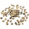 1,000 Carats Cream Moonstone Handpicked Tumbled Stones Crystals 0.4''-0.6'' Chips Bulk Pocket Stones for Healing, Reiki, Meditation, Witchcraft and Home Decorations (Cream Moonstone) view 2