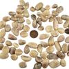 1,000 Carats Cream Moonstone Handpicked Tumbled Stones Crystals 0.4''-0.6'' Chips Bulk Pocket Stones for Healing, Reiki, Meditation, Witchcraft and Home Decorations (Cream Moonstone) view 3