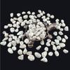 1,000 Carats Handpicked Tumbled Stones Crystals Chips Bulk Pocket Stones for Healing, Reiki, Meditation, Witchcraft and Home Decorations (Kiwi Jasper) view 2